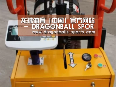 龙珠体育app比分直播案例展示三