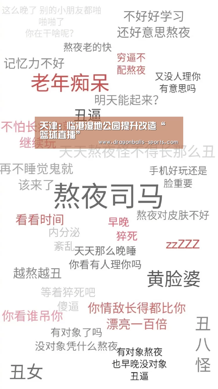 天津:临港湿地公园提升改造“ 篮球直播”(图1) 赛事数据直播