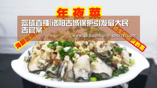 篮球直播|洛阳古城保护引发最大民告官案(图3) 赛事数据直播