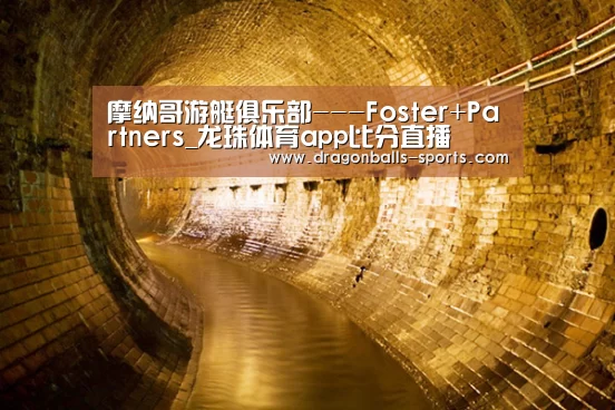 摩纳哥游艇俱乐部---Foster+Partners_龙珠体育app比分直播(图4) 实时比分