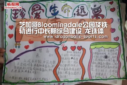  赛事数据直播