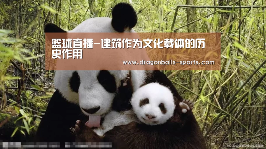 篮球直播-建筑作为文化载体的历史作用(图3) 赛事数据直播