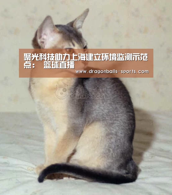  赛事数据直播