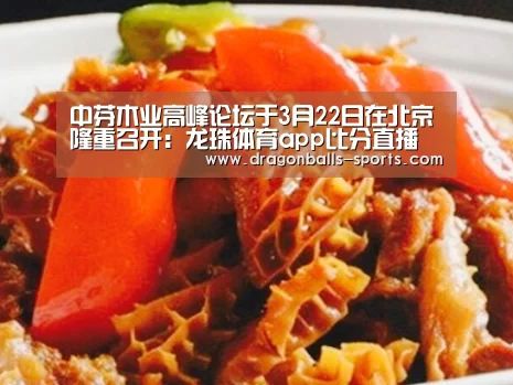中芬木业高峰论坛于3月22日在北京隆重召开:龙珠体育app比分直播(图1) 足球直播