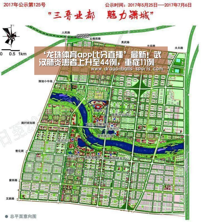 ‘龙珠体育app比分直播’最新!武汉肺炎患者上升至44例,重症11例(图3) 龙珠体育app比分直播