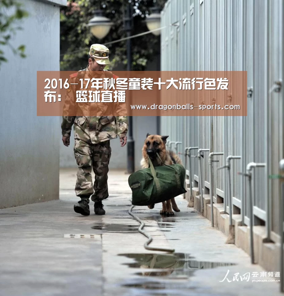 2016-17年秋冬童装十大流行色发布: 篮球直播(图2) 赛事数据直播