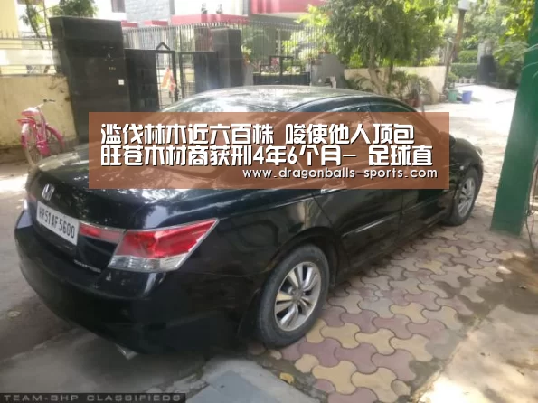 滥伐林木近六百株 唆使他人顶包 旺苍木材商获刑4年6个月- 足球直播(图2) 龙珠体育app比分直播
