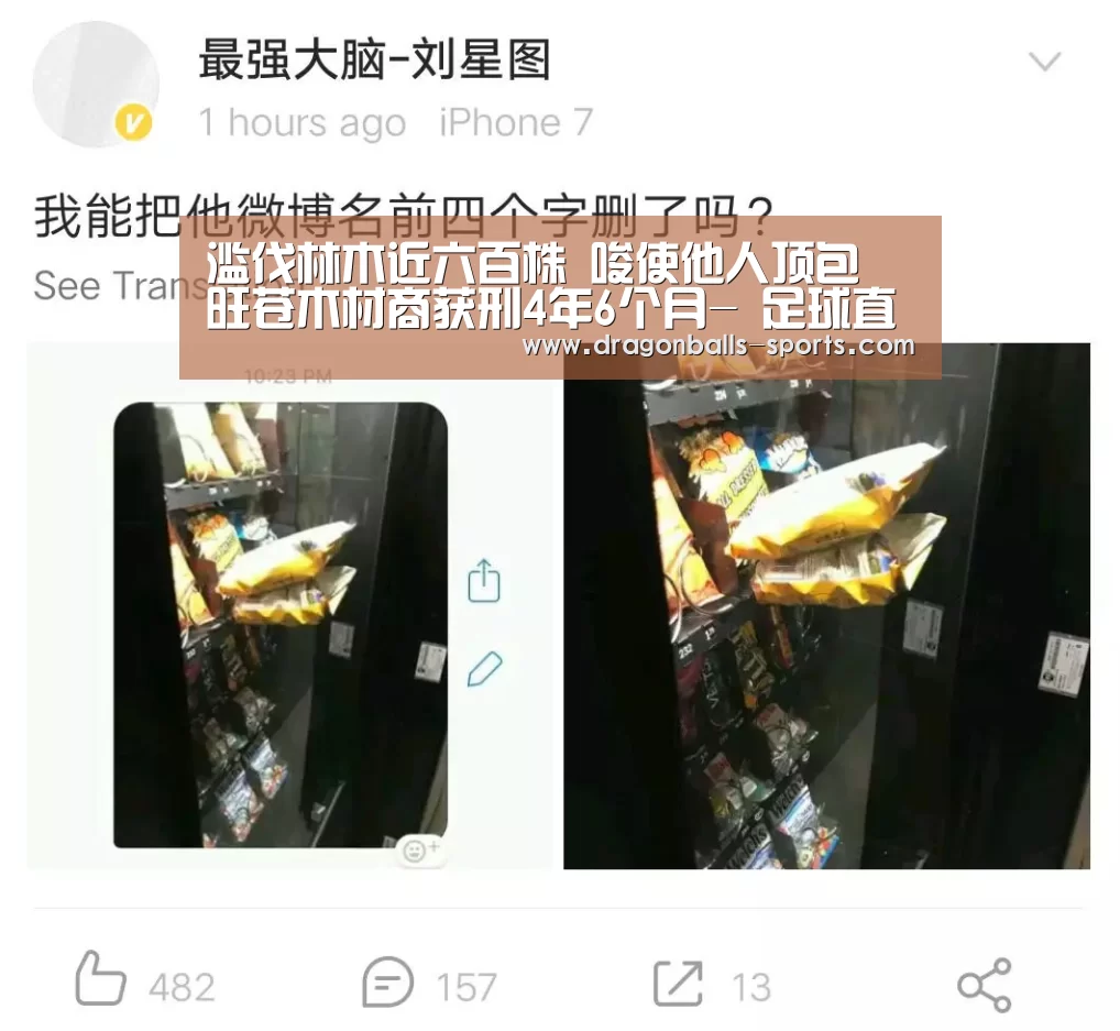 滥伐林木近六百株 唆使他人顶包 旺苍木材商获刑4年6个月- 足球直播(图3) 篮球直播