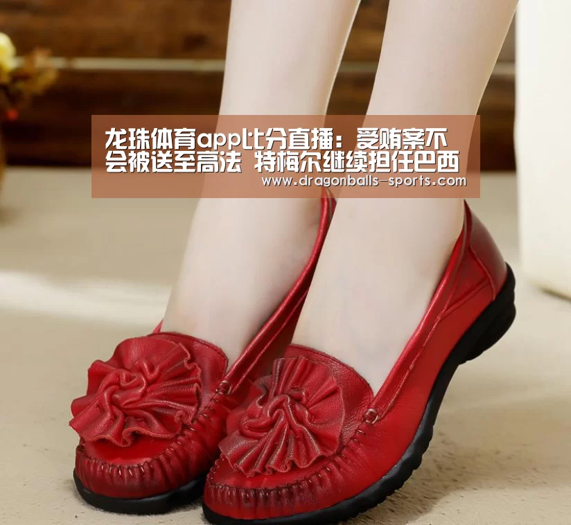 龙珠体育app比分直播