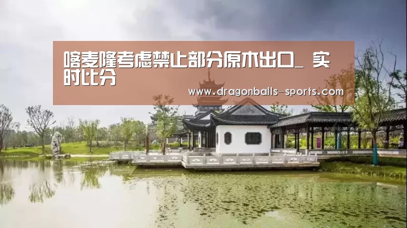 喀麦隆考虑禁止部分原木出口_ 实时比分(图3) 篮球直播